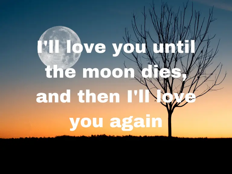Cute Love Quotes About The Moon
