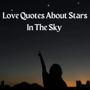 70+ Passionate Love Quotes About Stars In The Sky (To My Love)