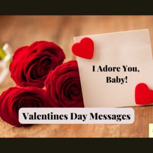 Valentines Day Messages: 100+ Appreciation Love Wishes (To My Bf/Gf/Partner/Friend).